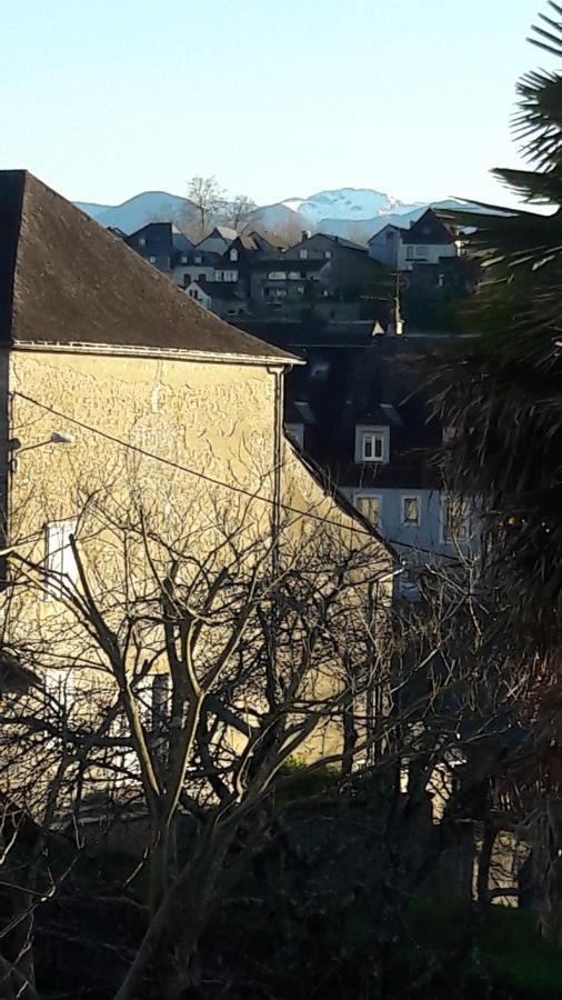 Chambres D'Hotes L'Oustal Oloron-Sainte-Marie Kültér fotó